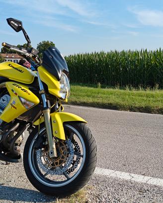 Kawasaki Er 6n