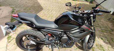  Yamaha XJ6