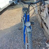 Bici bambino misura 20