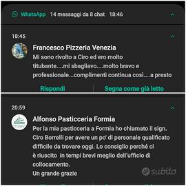 Direttore restaurant store manager pizzeria