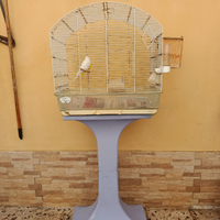 Blocco di pappagalli completo di voliera