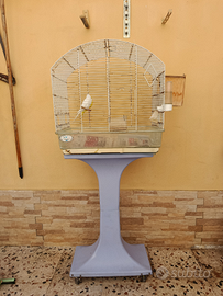 Blocco di pappagalli completo di voliera