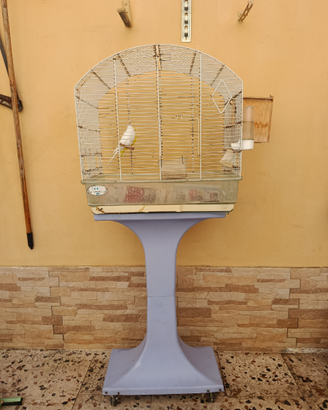 Blocco di pappagalli completo di voliera