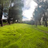 Viale delle Due Querce,strada x Castel del Monte
