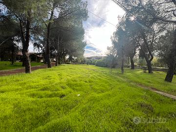 Viale delle Due Querce,strada x Castel del Monte