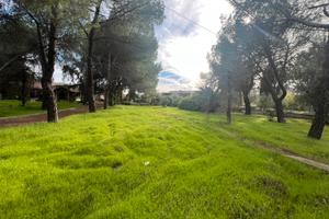Viale delle Due Querce,strada x Castel del Monte