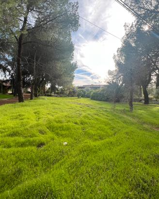Viale delle Due Querce,strada x Castel del Monte