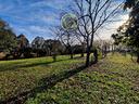 terreno-agrico-con-vigneto