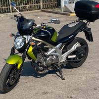 Suzuki gladius 650