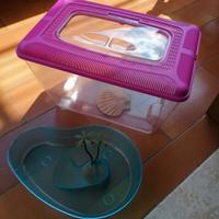 Acquario vaschetta tartarughe o pesci 