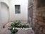 Immagine 15