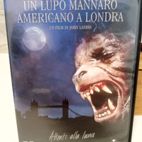 Un lupo mannaro americano a Londra