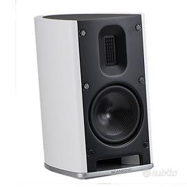 Scansonic MB1 B, diffusori gruppo Raidho