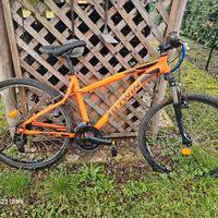 MTB ragazzo 24"