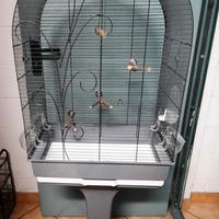 gabbia con piedistallo per uccelli 