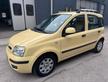 Fiat Panda 1.2 Dynamic*EURO5*NEOPATENTATI