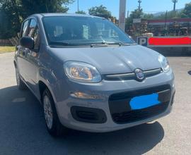 FIAT Panda 3ª serie - 2017