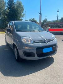 FIAT Panda 3ª serie - 2017