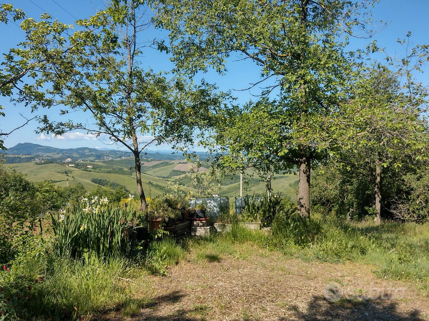 Terreno collinare a 15 Min da san lazzaro - Vista 5