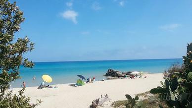 Costa rei mare