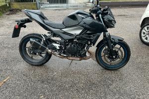 Kawasaki z