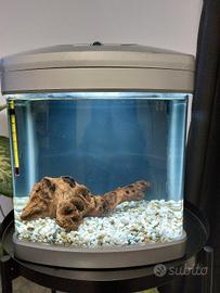 Acquario Piccolo 30 L