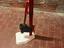 Immagine 2