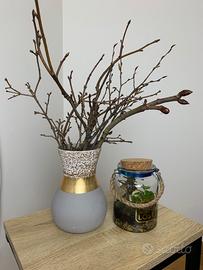 Terrarium piante 🌱