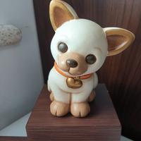 Thun chihuahua 