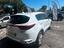 Immagine 12