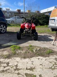 Quad enduro