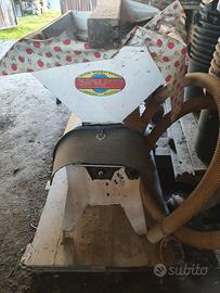 pigiadiraspatrice con pompa