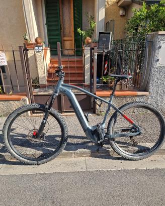 E-Mtb Carver strict e-520