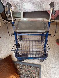 Carrello deambulatore 