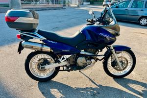 Suzuki XF650 Freewind