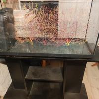 acquario o terrario rettili con mobile 