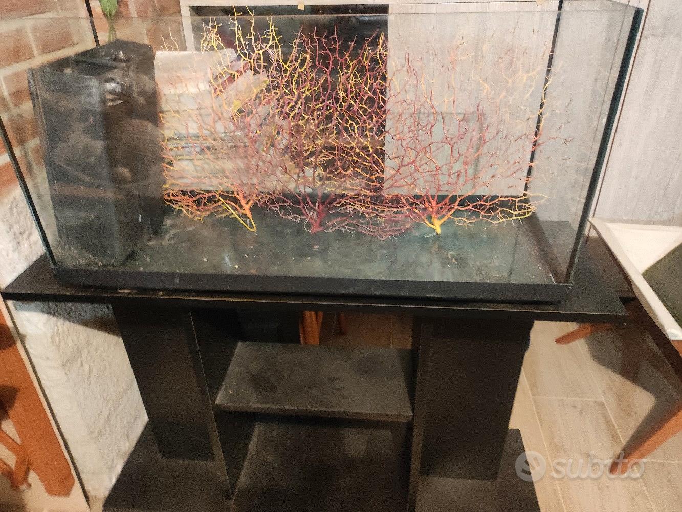Yongirl - Scatola per terrario per acquario e rettili, in acrilico, per rettili, vivario in