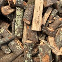 legna secca di quercia