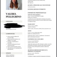 Impiegata part-time/babysitter/dogsitter