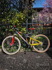 MTB Bottecchia 