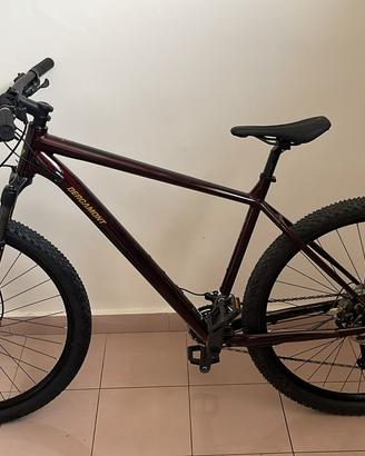 Bergamont revox 7
