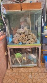 acquario 