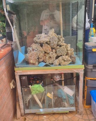 acquario 