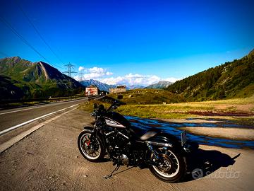 Harley Davidson Sportster 883r
