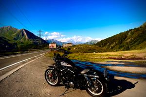 Harley Davidson Sportster 883r