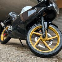 Aprilia RS 50 – 70 Polini