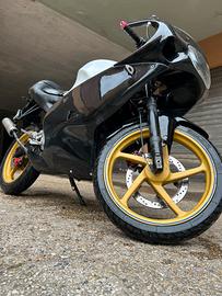 Aprilia RS 50 – 70 Polini