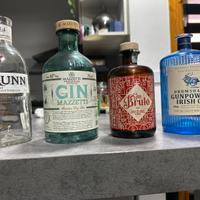 Bottiglie vuote di gin