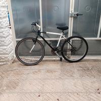 bicicletta mountain bike 