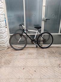 bicicletta mountain bike 